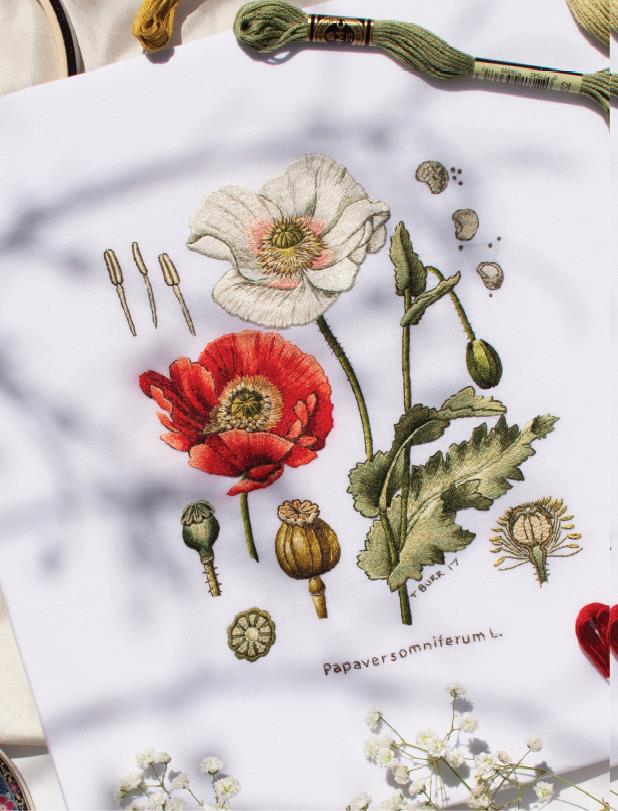 The Kew Book of  Embroidered F - Candle Making Books For Beginners recensione e prezzo