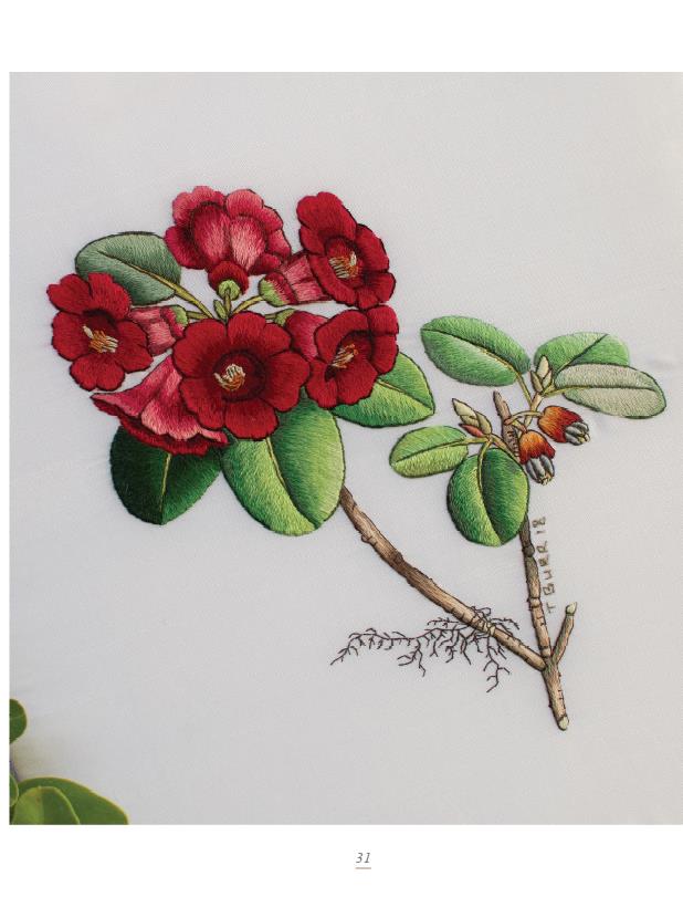 The Kew Book of  Embroidered F - Candle Making Books For Beginners recensione e prezzo